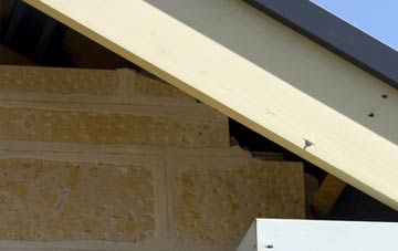 soffit repair Chatteris