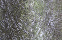 Chatteris fibreglass roof work